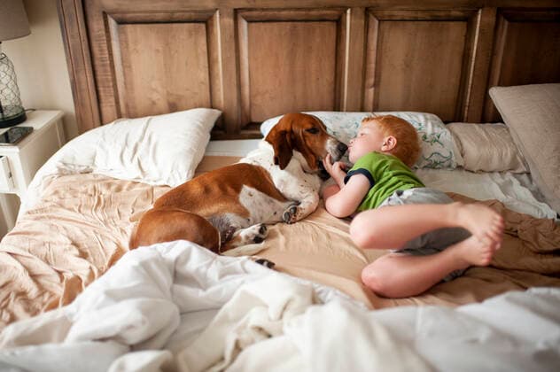 IMAGO Creative: Dichotomien, Generationen Toddler boy kissing a basset hound dog next to him at home in bed Grimes, IA, United States CR_LIPF191205-242641-01