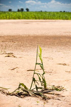 In mid January 2015, a three day period of excessive rain brought unprecedented floods to the small poor African country of Malawi. It displaced nearly quarter of a million people, devastated Mulanje, Southern Region, Malawi CR_OQMH191209C-253582-01