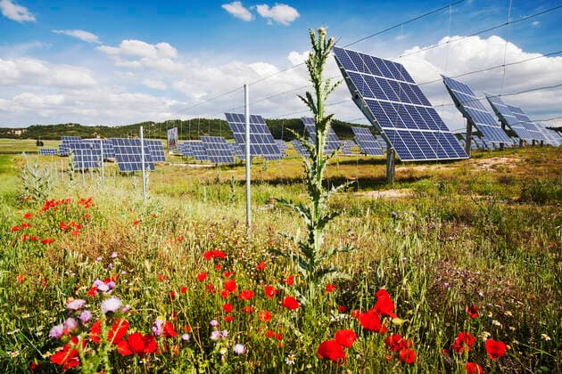 A photo voltaic solar power station near Caravaca, Andalucia, Spain, with wild flowers. Caravaca, Region of Murcia, Spain CR_OQMH191210A-261144-01