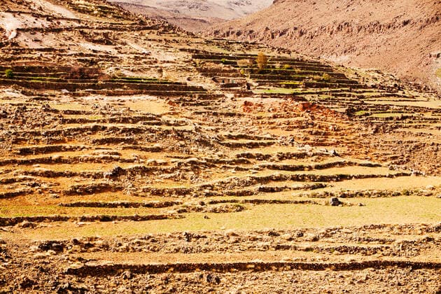 Field terraces above a Berber village in the Anti Atlas mountains of Morocco, North Africa. In recent years, rainfall totals have reduced by around 75% as a result of climate change. This has Tafraoute, Souss-Massa, Morocco CR_OQMH191212C-251072-01