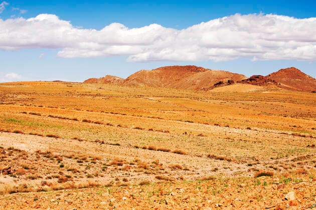 Barley growing near a Berber village in the Anti Atlas mountains of Morocco, North Africa. In recent years, rainfall totals have reduced by around 75% as a result of climate change. This has Tafraoute, Souss-Massa, Morocco CR_OQMH191212C-251075-01