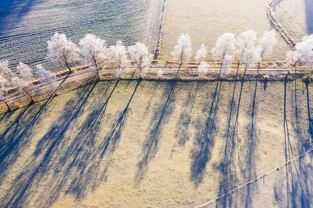 Feldweg durch Birken-Allee mit Raureif, Schwaigwall, bei Geretsried, Drohnenaufnahme, Oberbayern, Bayern, Deutschland, Europa *** Country lane through birch avenue with hoarfrost, Schwaigwall, near Geretsried, drone recording, Upper Bavaria, Bavaria, Germany, Europe Copyright: imageBROKER MartinxSiepmann ibxman05103907.jpg