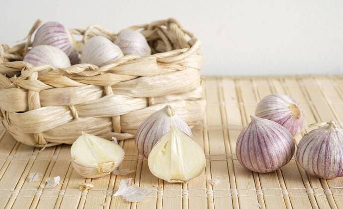 The following text was translated automatically Garlic solo or garlic onion, a small outing with a mild garlic taste from the province of Yunnan in China. Photo: Kim van Dam  Copyright: xHollandsexHoogtex xJustxlikextoxtravelx x405475260x