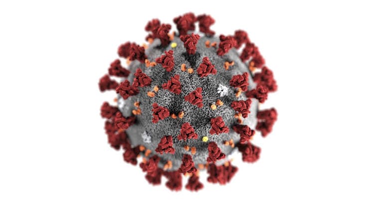 February 3, 2020, Atlanta, GA, United States of America: Illustration created at the Centers for Disease Control and Prevention showing the ultrastructural morphology exhibited by the Novel Coronavirus 2019-nCoV virus which has caused an outbreak of respiratory illness first detected in Wuhan, China in 2019. Note the spikes that adorn the outer surface of the virus, which impart the look of a corona surrounding the virion, when viewed electron microscope. Atlanta United States of America - ZUMAp138 20200203_zaa_p138_003 Copyright: xCdc Cdcx