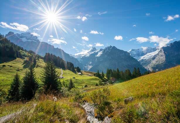 Berglandschaft bei strahlendem Sonnenschein, hinten schneebedeckte Berggipfel Schreckhorn, Wetterhorn und Eiger, Grindelwald, Bern, Schweiz, Europa Copyright: imageBROKER/MaraxBrandl ibxmab05095949.jpg