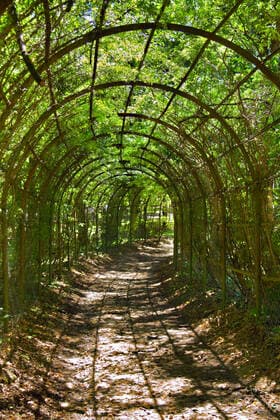 IMAGO Creative, Sommer, Schatten-Plätze bei Hitze archway in park archway in park in Sunny day in summer  Copyright: xforyouinfx 1545250