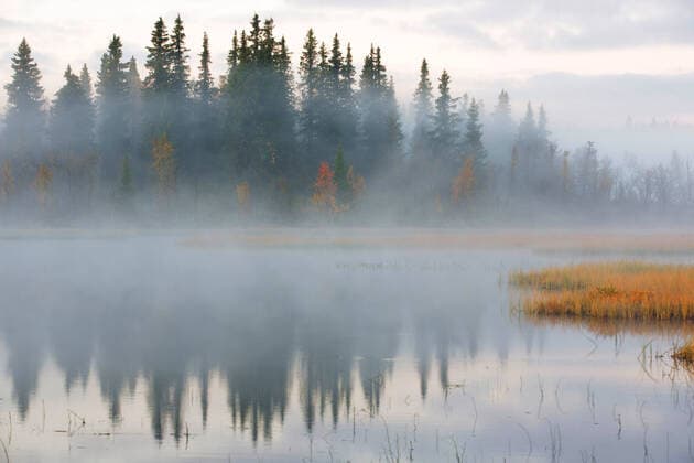 Morgendunst in Oppdal, Norwegen, Trondelag, Oppdal, Ottadalen Morning haze in Oppdal, Norway, Trondelag, Oppdal, Ottadalen BLWS604504 Copyright: xblickwinkel W.xPattynx