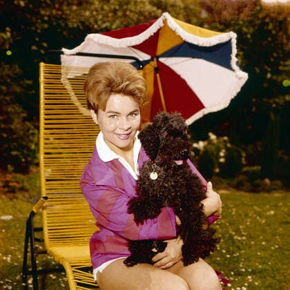 Cornelia Conny Froboess mit einem Pudel auf einem Sonnenstuhl im Garten, Deutschland 1960. Cornelia Conny Froboess and a poodle at the garden, Germany 1960. Nur redaktionelle Nutzung. Editorial usage only. Copyright: ArthurxGrimm UnitedArchives82001953