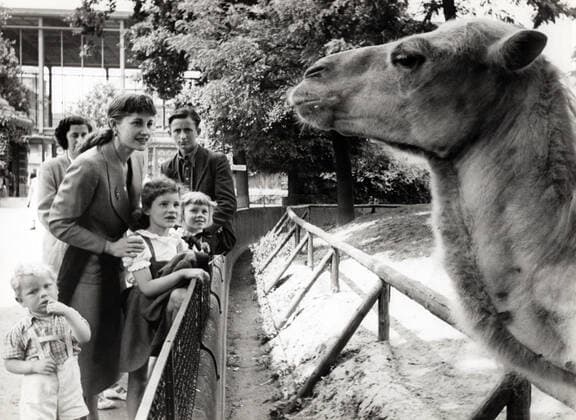 Susanne Uhlen, deutsche Schauspielerin, als Kind im Zoo mit ihrer Mutter Gisela, Deutschland um 1964. German actress Susanne Uhlen as a child with her mother Gisela at the zoo, Germany around 1964. Nur redaktionelle Nutzung. Editorial usage only. Copyright: ArthurxGrimm UnitedArchives82005845