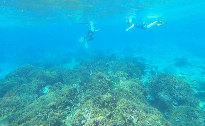 Schnorcheln am Riff bei Caribe Point mit Jolly Adventures auf Roatan - 01.02.2020: Roatan mit der Costa Luminosa *** Snorkeling on the reef at Caribe Point with Jolly Adventures on Roatan 01 02 2020 Roatan with Costa Luminosa