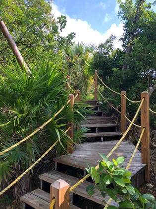 Botanischer Garten am Hafen Mahogany Bay auf Roatan mit Strandclub und Seilbahn - 01.02.2020: Roatan mit der Costa Luminosa *** Botanical garden at the harbour Mahogany Bay on Roatan with beach club and cable car 01 02 2020 Roatan with the Costa Luminosa