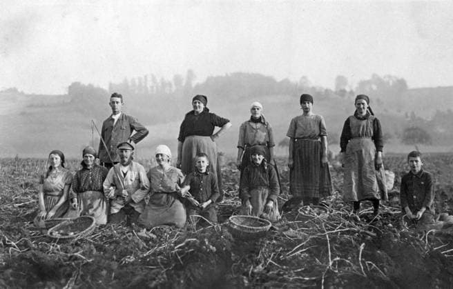 Landwirtschaft, Frauen und Jungen bei der Kartoffelernte, 1920er Jahre, genauer Ort unbekannt, Deutschland, Europa *** Agriculture, women and boys harvesting potatoes, 1920s, exact location unknown, Germany, Europe Copyright: imageBROKER our-planet.berlin iblhek04640594.jpg