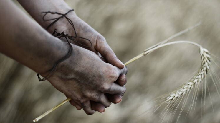 IMAGO Nature: Unsere Erde, Umweltprobleme, Welthunger IMAGO Creative: Hunger Konzeptfoto von verklemmten händen der jungen frau gerste halten kein essen kein brot armut *** Concept photo of the young womans uptight hands holding barley no food no bread poverty 1069500230