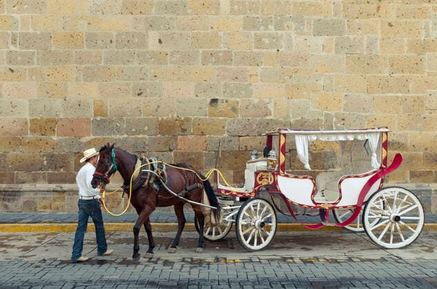 Horse carriage and driver, Guadalajara, Mexico. Guadalajara Jalisco Mexico Copyright: xGregxVaughnx GVA-0150
