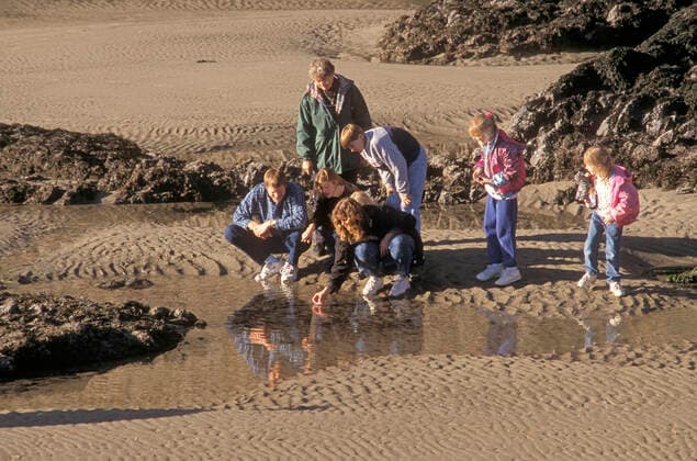 IMAGO Creative: UN Welt-Habitat-Tag am 3. Oktober Family at Quarry Cove tidepool area at Yaquina Head Outstanding Natural Area, Newport, Oregon. Oregon USA Copyright: xGregxVaughnx GVA-1270