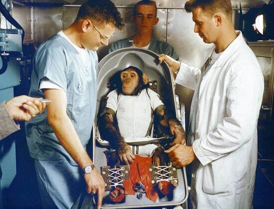 Ham, a three-year-old chimpanzee, in his biopack couch. On January 31, 1961, Ham made the first sub-orbital test flight of the NASA Project Mercury Capsule before launching the fist American astronaut Alan Shepard in May 1961. ., Alan Shepard, Gus Grissom Courtesy Everett Collection PUBLICATIONXNOTxINxCANxCHNxFRAxITAxJPNxNORxPOLxRUSxESPxUKxUSA Copyright: xCourtesyxEverettxCollectionx HISL010 EC213