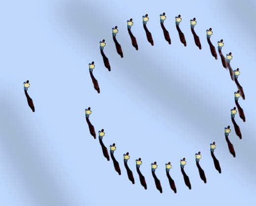 Draufsicht auf einen Mann außerhalb eines Kreises *** Top view of a man outside a circle  Copyright: xGaryxWatersx 11592026