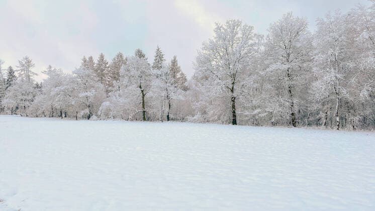 Winter im Siegerland, die Landschaft zeigt sich winterlich wie hier bei Siegen-Oberschelden, ein doch eher seltener Anblick in diesem Winter Winter im Siegerland am 28.02.2020 in Siegen Deutschland.