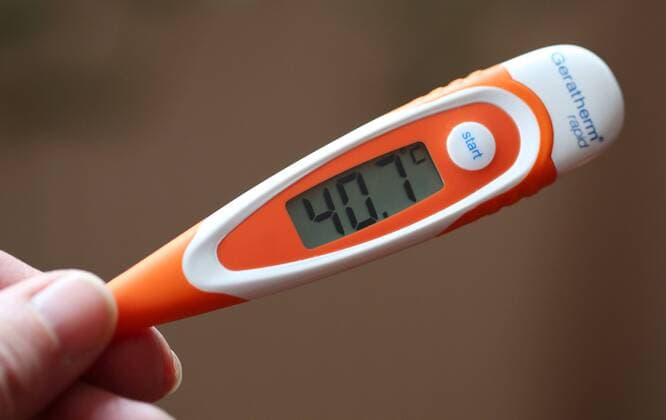 Corona 28.02.2020 , Erfurt, Fieberthermometer zeigt 40,7 Grad an