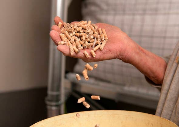 IMAGO Nature: Unsere Erde, Energiequellen, Biomasse 28.02.2020, Deutschland, Mindelheim, Neu-Errichtete Holzpellets-Heizung im Keller eines Wohnhauses. Holzpellets in der Hand der Hausbesitzerin. 28.02.2020, Holz-Pelletsheizung in einem Wohnhaus 28.02.2020, Holz-Pelletsheizung in einem Wohnhaus *** 28 02 2020, Germany, Mindelheim, Newly built wood pellets heating in the cellar of a residential house Wood pellets in the hand of the house owner 28 02 2020, Wood pellets heating in a residential house 28 02 2020, Wood pellets heating in a residential house