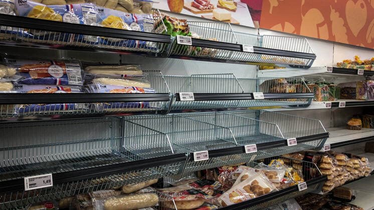 Hamsterkäufe im Kreis Ludwigsburg: Leerstehende Regale - Hinweisschilder weisen Kunden in Gerlingen auf fehlende Desinfektionsmittel hin GERLINGEN: Deutschland bereitet sich auf das Coronavirus vor. Aus Angst vor Ausgangssperren und Versorgungsengpässen sind bereits viele Regale leergeräumt. Es fehlt überall an Desinfektionsmittel. Kunden werden darüber informiert dass aufgrund der aktuellen Lage Desinfektionsmittel Mangelware ist. Die Supermärkte arbeiten intensiv daran, die Warenversorgung in den Filialen sicherzustellen. Die Zahl der Corona-Fälle in Baden-Württemberg ist auf 14 angestiegen. Auch bei einem Mann aus Benningen (Landkreis Ludwigsbrug) und bei einer Person aus dem Landkreis Heilbronn ist nun das Coronavirus nachgewiesen worden. Insgesamt wurden in Deutschland bereits Dutzende Menschen positiv auf das neuartige Coronavir Copyright: 7aktuell.dex xNilsxReeh