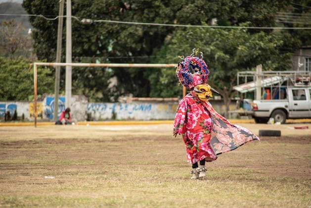 February 29, 2020, Almolonga, Veracruz, Mexico: People from Almolonga Veracruz, celebrate their carnival dressed in their traditional bull masks. This carnival is one of the oldest in the region and dates back to the time when African slaves revealed themselves against Europeans in these lands. Almolonga Mexico - ZUMAqp1_ 20200229_zip_qp1_009 Copyright: xHectorxAdolfoxQuintanarxPerezx
