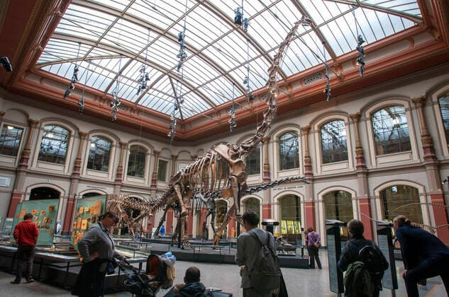 Berlin, German city, Germany. Skeleton of Tristan , Tyrannosaurus rex at Museum fur Naturkunde, Naturkundemuseum, Museum of Natural History. Animals, dinosaurs, fossils Berlin Brandenburg Germany Copyright: xSergixReboredox xVWPicsx SRE-BY5684