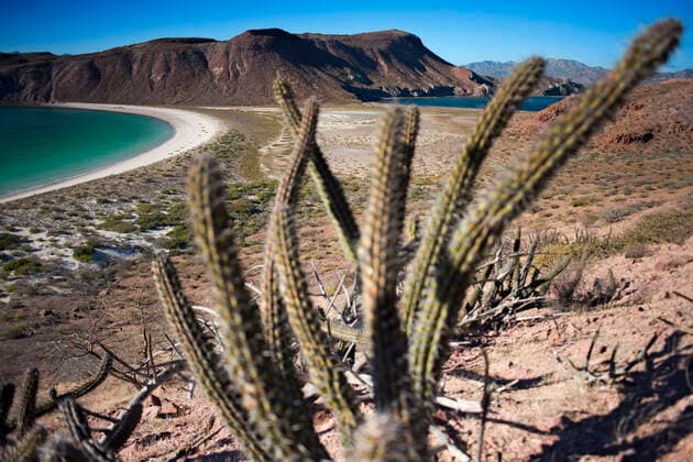 Isla San Francisco, Sea of Cortes, Baja California Sur, Mexico. Los Cabos Mexico Copyright: xSergixReboredox xVWPicsx SRE-002-DR0458