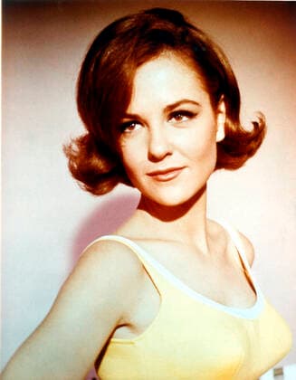 GIRL HAPPY, Shelley Fabares, 1965 PUBLICATIONXNOTxINxCANxCHNxFRAxITAxJPNxNORxPOLxRUSxESPxUKxUSA Copyright: xCourtesyxEverettxCollectionx M8DGIHA EC001