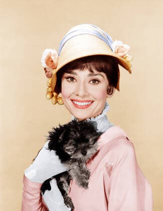 MY FAIR LADY, Audrey Hepburn, 1964 Courtesy Everett Collection PUBLICATIONXNOTxINxCANxCHNxFRAxITAxJPNxNORxPOLxRUSxESPxUKxUSA Copyright: xCourtesyxEverettxCollectionx M8DMYFA EC039