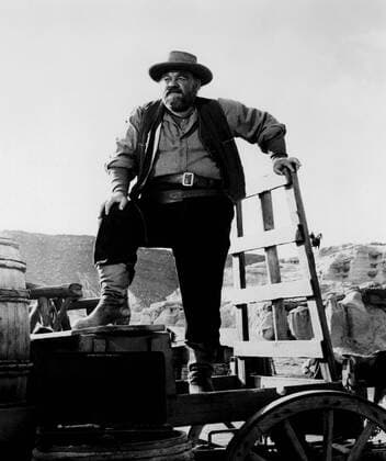 OSCARS. Bester Nebendarsteller. PreistrÃ¤ger 1951-1960 THE BIG COUNTRY, Burl Ives, 1958 Courtesy Everett Collection PUBLICATIONXNOTxINxCANxCHNxFRAxITAxJPNxNORxPOLxRUSxESPxUKxUSA Copyright: xCourtesyxEverettxCollectionx MBDBICO EC025