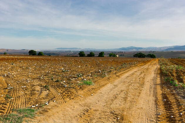 IMAGO Nature: Unsere Erde, Klimawandel, Baumwolle Field Dirt Road Leading to the Farmhouse in Spain  Copyright: xgkunax 12858760