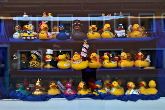 Schaufenster mit gelben Quietsch - Enten in Beilngries, Bayern. Ein Quietscheentchen, auch Quietscheente, Quietschente, Badeente, Gummiente, ist eine Entenfigur aus elastischem Kunststoff, die in der Regel als Spielzeug in der Badewanne verwendet wird. Beim Zusammendruecken des Entchens stroemt durch ein spezielles Ventil Luft, was den charakteristischen Quietschton erzeugt. Das Quietscheentchen kann schwimmen, weil es einen luftgefuellten Hohlkoerper bildet