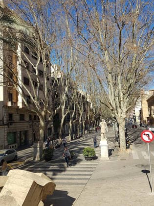 Palma Themenfoto: Urlaub, Mallorca, 16.-23.02.2020 Alte Haeuser in der Stadt Palma de Mallorca, Themenfoto: Urlaub, Mallorca - Copyright: xAugstx xEibner-Pressefotox EP_jat
