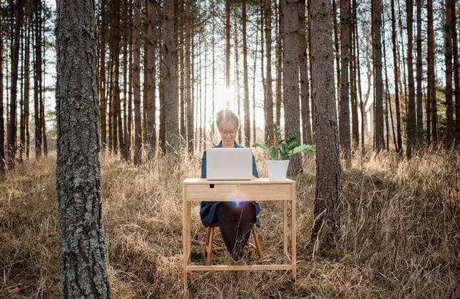 travelling woman working on a laptop and desk in a peaceful forest NorrtoÂ¤lje, Stockholm County, Sweden ,model released, Symbolfoto CR_RABE200124-288578-01