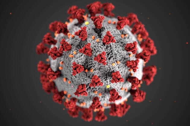 This illustration, created at the Centers for Disease Control and Prevention (CDC), reveals the ultrastructural morphology exhibited by coronaviruses. Note the spikes that adorn the outer surface of the virus, which impart the look of a corona surrounding the virion when viewed electron microscopically. A novel coronavirus, named Severe Acute Respiratory Syndrome coronavirus 2 (SARS-CoV-2), was identified as the cause of an outbreak of respiratory illness first detected in Wuhan, China, in 2019. The illness caused by this virus has been named coronavirus disease 2019 (COVID-19). CDC  WAX2020031501 CDC