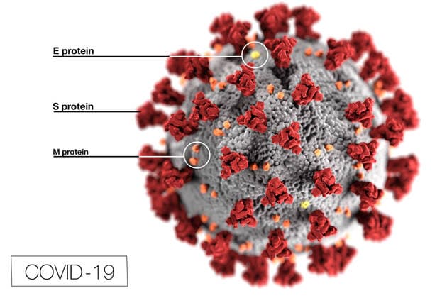 This illustration, created at the Centers for Disease Control and Prevention (CDC), reveals ultrastructural morphology exhibited by coronaviruses. Note the spikes that adorn the outer surface of the virus, which impart the look of a corona surrounding the virion when viewed electron microscopically. In this view, the protein particles E, S, and M, also located on the outer surface of the particle, have all been labeled as well. A novel coronavirus, named Severe Acute Respiratory Syndrome coronavirus 2 (SARS-CoV-2), was identified as the cause of an outbreak of respiratory illness first detected in Wuhan, China in 2019. The illness caused by this virus has been named coronavirus disease 2019 (COVID-19). CDC WAX2020031503 CDC