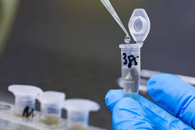 Symbolfoto, Coronavirus, Labor, Test, Abstrich, Virus,