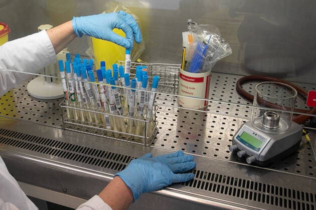 Symbolfoto, Coronavirus, Labor, Test, Abstrich, Virus,