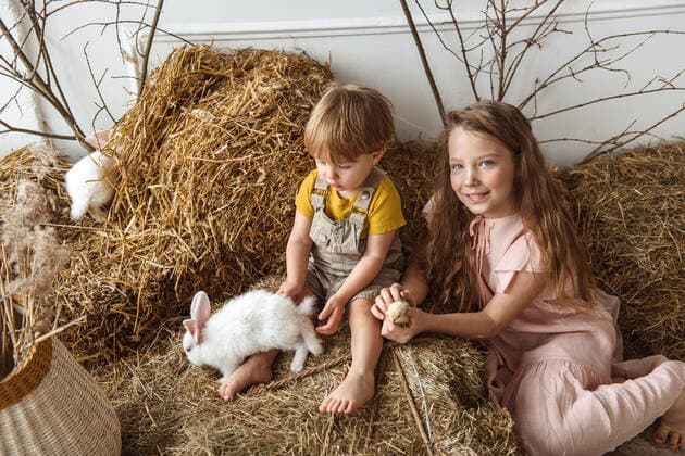 Children at Easter with rabbits and ducks ,model released, Symbolfoto CR_YUKI200220-307752-01
