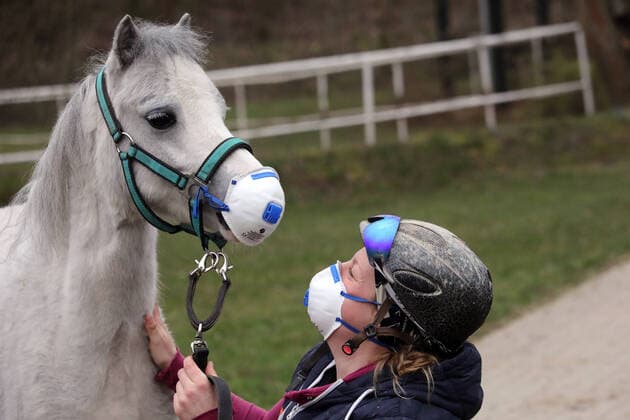 19.03.2020, Neuenhagen, Brandenburg, GER - Reiterin und Pony tragen zum Schutz gegen das Coronavirus eine Atemschutzmaske. (MR=yes, Ansteckungsgefahr, Atemmaske, Atemschutzmaske, Coronaepidemie, Coronapandemie, Coronavirus, Covid 19, Gesundheit, Mundschutz, Reiterin, schuetzen, Schutz, Vorsorge, Pony, lustig, witzig, Witz, Humor, Skurriles, skurril, Zoonose) 200319D153NEUENHAGEN.JPG