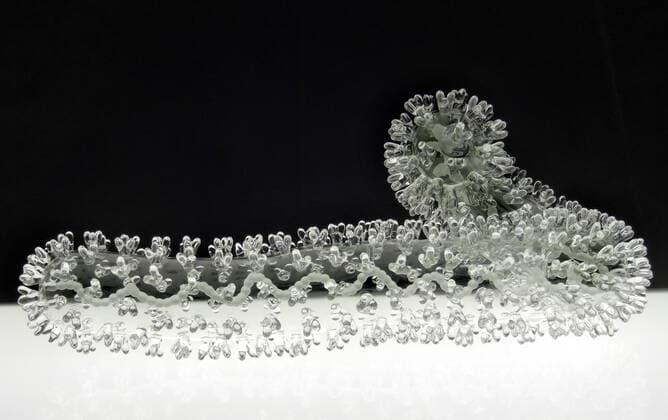March 19, 2020, Bristol, United Kingdom: IN PHOTO: Ebola..Internationally-renowned British artist Luke Jerram has created a coronavirus glass sculpture in tribute to the huge global scientific and medical effort to combat the pandemic...Made in glass, at 23cm in diameter, it is 1 million times larger than the actual virus. ..It was commissioned 5 weeks ago by a university in America to reflect its current and future research and learning in health, the environment and intelligent systems, and its focus on solving global challenges. ..Luke says: Ã¢â‚¬oeHelping to communicate the form of the virus to the public, the artwork has been created as an alternative representation to the artificially coloured imagery received through the media. In fact, viruses have no colour as they are smaller than the wavelength of light.Ã¢â‚¬Â ..Ã¢â‚¬oeThis a - ZUMAc218 20200319_zia_c218_024 Copyright: xCOVERxImagesx