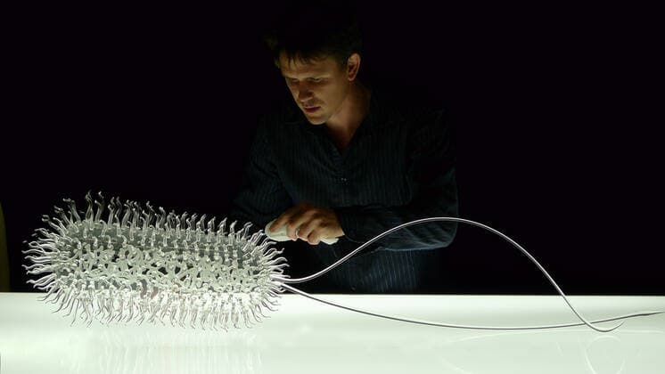 March 19, 2020, Bristol, United Kingdom: IN PHOTO: E. coli..Internationally-renowned British artist Luke Jerram has created a coronavirus glass sculpture in tribute to the huge global scientific and medical effort to combat the pandemic...Made in glass, at 23cm in diameter, it is 1 million times larger than the actual virus. ..It was commissioned 5 weeks ago by a university in America to reflect its current and future research and learning in health, the environment and intelligent systems, and its focus on solving global challenges. ..Luke says: Ã¢â‚¬oeHelping to communicate the form of the virus to the public, the artwork has been created as an alternative representation to the artificially coloured imagery received through the media. In fact, viruses have no colour as they are smaller than the wavelength of light.Ã¢â‚¬Â ..Ã¢â‚¬oeThis - ZUMAc218 20200319_zia_c218_039 Copyright: xCOVERxImagesx