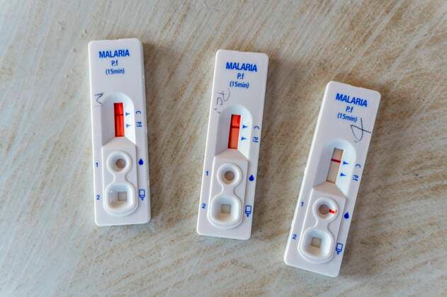 Ergebnisse eines Malaria-Schnelltests aus Blut, Lebombo Border Control, Südafrika *** Results of a malaria rapid blood test, Lebombo Border Control, South Africa Copyright: imageBROKER JacekxSopotnicki ibxjas05127954.jpg