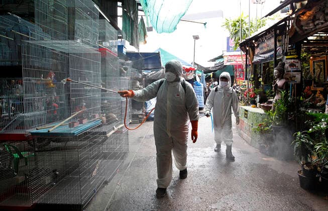 March 20, 2020, Bangkok, Thailand: Thai officials spray disinfectant at Pet market during a precaution against the coronavirus Covid-19 outbreak in Bangkok on March 20, 2020. Total number of deaths stemming from the growing pandemic at 10,030. The number of people infected worldwide is nearing 245,000 with most cases in China, followed by Italy and Iran, according to its data. Bangkok Thailand - ZUMAu103 20200320_zia_u103_007 Copyright: xUrdeexImagex