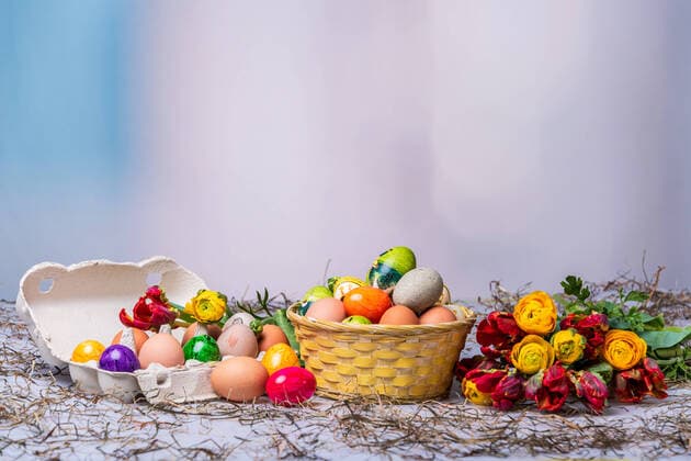 Heute ist Frühlingsanfang, Impressionen dieser herrlichen Jahreszeit Kiel Studio Schleswig-Holstein Deutschland