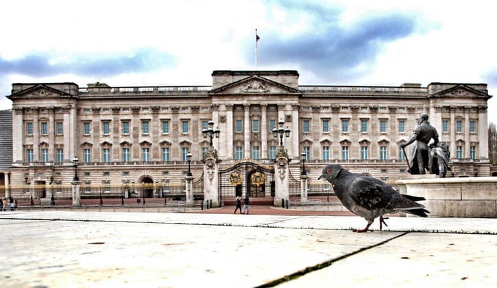 Queen Elizabeth II, has left Buckingham Place to go to Windsor, and there are very few people and a solitary pigeon wandering about at lunchtime.The COVID-19 Coronavirus crisis continues, and although there is no lockdown in London, some changes to public transport have been made as there seems to be fewer people and tourists moving around the city. COVID-19 Coronavirus crisis, London, UK on March 20, 2020 