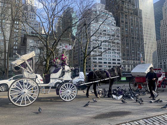 March 20, 2020, Nova York, EUA: (NEW)..Movement at Central Park amid Coronavirus COVID-19. March 20,2020,New York,USA:Little movement of people at Central Park due to the outbreak of Coronavirus and starting from Sunday (22)the Governor of New YorkoÂ¢Ã¢öÂ¬Ã¢Â¢s new decree of everyone staying at home comes into effect ...Credit: Thenews2 Nova York - ZUMAn293 20200320_znp_n293_062 Copyright: xNiyixFotex