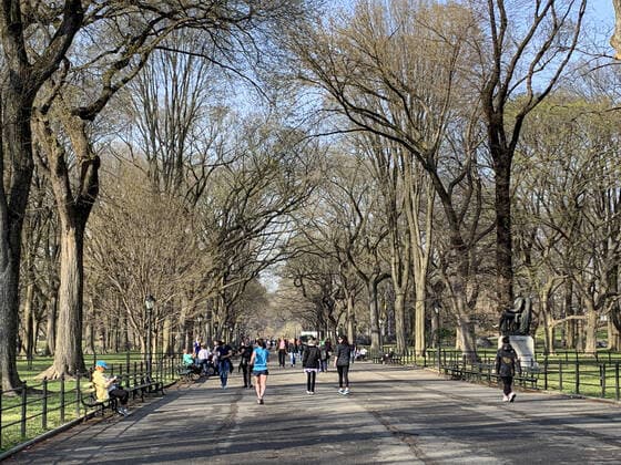 March 20, 2020, Nova York, EUA: (NEW)..Movement at Central Park amid Coronavirus COVID-19. March 20,2020,New York,USA:Little movement of people at Central Park due to the outbreak of Coronavirus and starting from Sunday (22)the Governor of New YorkoÂ¢Ã¢öÂ¬Ã¢Â¢s new decree of everyone staying at home comes into effect ...Credit: Thenews2 Nova York - ZUMAn293 20200320_znp_n293_072 Copyright: xNiyixFotex
