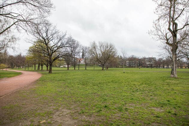 Tag 1 nach Erlass der städtischen Allgemeinverfügung mit Ausgangsbeschränkungen. Blick auf den menschenleeren Alaunpark früh am Morgen. 21.03.2020, Dresden, Deutschland, Äußere Neustadt, Dresden
